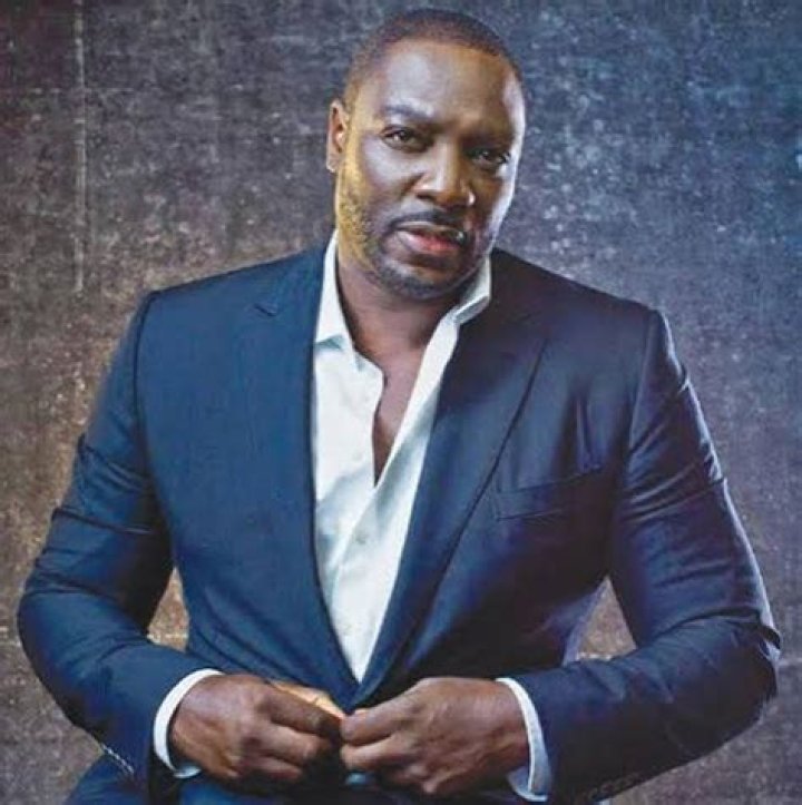 Adewale Akinnuoye-Agbaje Biography, Age, Height, Wife, Net Worth, Family