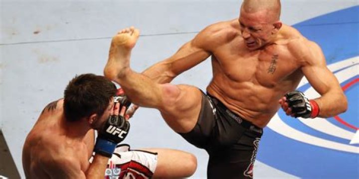 Georges St-Pierre Biography, Age, Height, Wife, Net Worth, Family