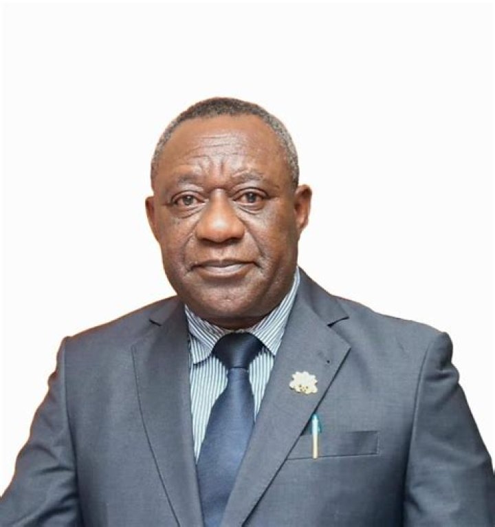 Henry Kwabena Kokofu Biography, Age, Height, Wife, Net Worth, Family