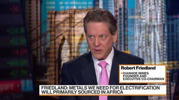 Robert Friedland biografía, edad, altura, esposo, net worth, familia